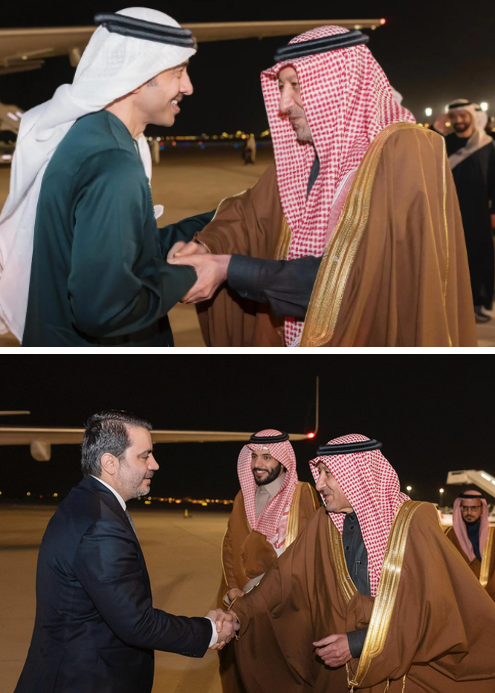 وزيرا خارجية الإمارات