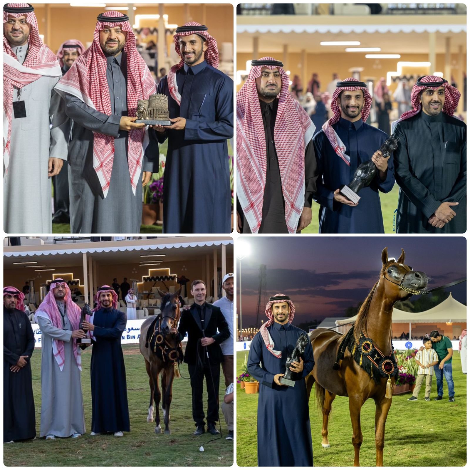 مربط أجمل ذهب عالمي جديد