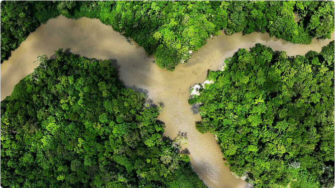 تأثير صادم لتغير المناخ: غابات أستراليا المطيرة تتحول من "مخزن للكربون" إلى "مصدر للانبعاثات"