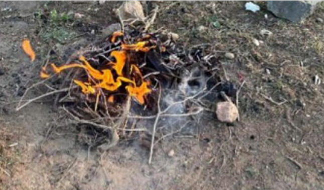 المناطق 1, الأمن البيئي يضبط مقيماً يمنياً أشعل النار في غير المخصص لها بمحمية الإمام فيصل بن تركي الأمن البيئي يضبط مقيماً يمنياً أشعل النار في غير المخصص لها بمحمية الإمام فيصل بن تركي