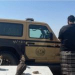 المناطق 1, الأمن البيئي يضبط مواطناً في ينبع بحوزته 3 صقور وطائر سمان بسبب الصيد دون ترخيص الأمن البيئي يضبط مواطناً في ينبع بحوزته 3 صقور وطائر سمان بسبب الصيد دون ترخيص