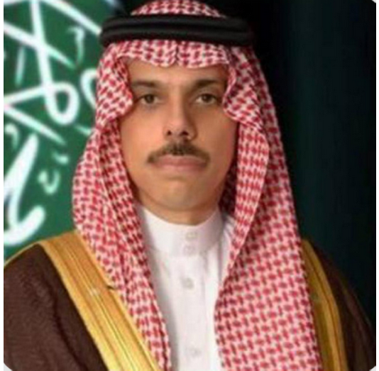 وزير الخارجية يصل باريس لبحث "خطة غزة الأمريكية" وسبل تثبيت وقف إطلاق النار