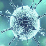 المناطق 1, اكتشاف فيروس كورونا جديد في البرازيل قد يهدد بجائحة محتملة اكتشاف فيروس كورونا جديد في البرازيل قد يهدد بجائحة محتملة