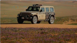 "الأمن البيئي" يضبط مخالفين في محمية الإمام فيصل بن تركي ويصادر أسلحة وذخائر