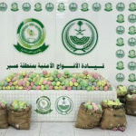 القبض على مواطن في عسير لترويجه 127 كيلو جرامًا من نبات القات