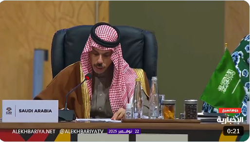 وزير الخارجية في G20 : ندعو لتنسيق دولي لمواجهة التحديات الاقتصادية