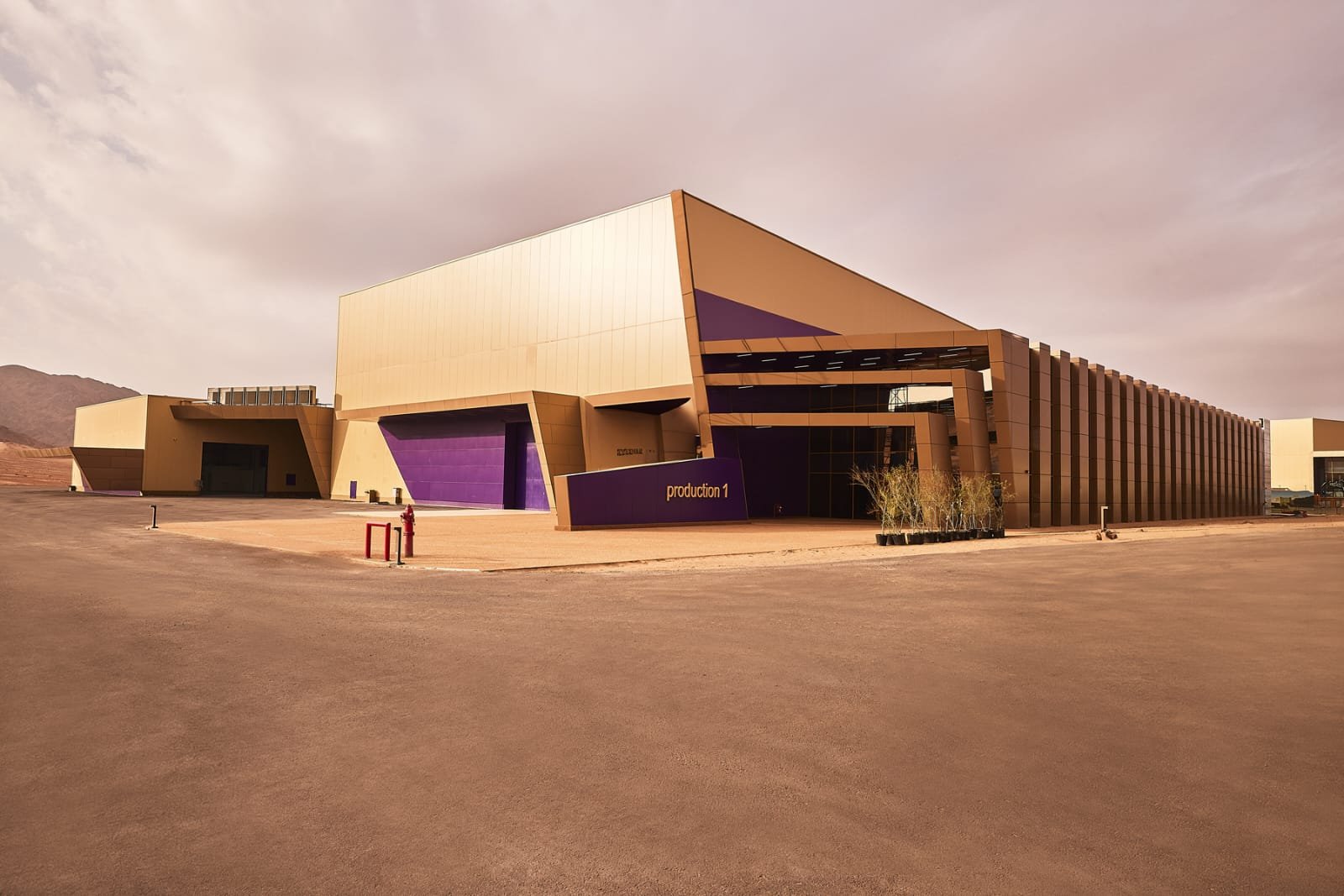 فيلم العلا تستعد لتصوير الفيلم الرومانسي "تشيسنغ ريد" من بطولة مادلين بيتش وغافين كاساليغنو في العلا