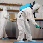 تعرف على افضل شركة ابادة حشرات فى العالم : المركز الالماني لابادة الحشرات