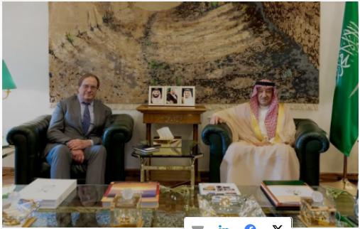 نائب وزير الخارجية يستعرض القضايا المشتركة مع رئيس المجلس الأطلنطي