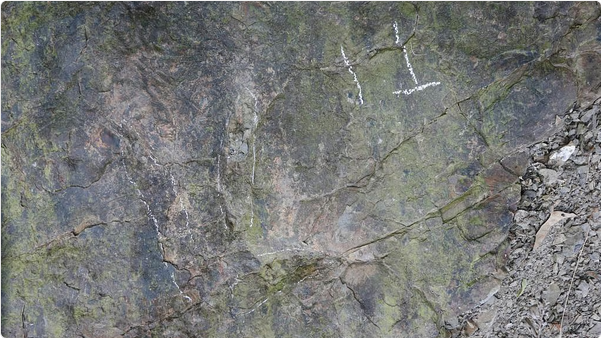 كشف علمي جديد في الصين: العثور على أكثر من 20 أثراً لأقدام ديناصورات عمرها 200 مليون سنة