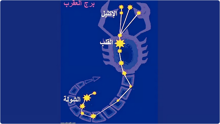 «الحصيني: الجمعة دخول طالع الشولة إيذانًا بذروة البرد وبداية موسم الزراعة الشتوية»