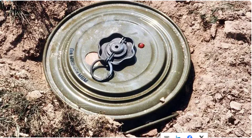 مشروع “مسام” يواصل تطهير الأراضي اليمنية وينتزع 924 لغمًا وذخيرة