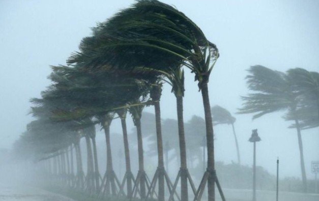 عاصفة شتوية تضرب نيويورك وتلغي مئات الرحلات