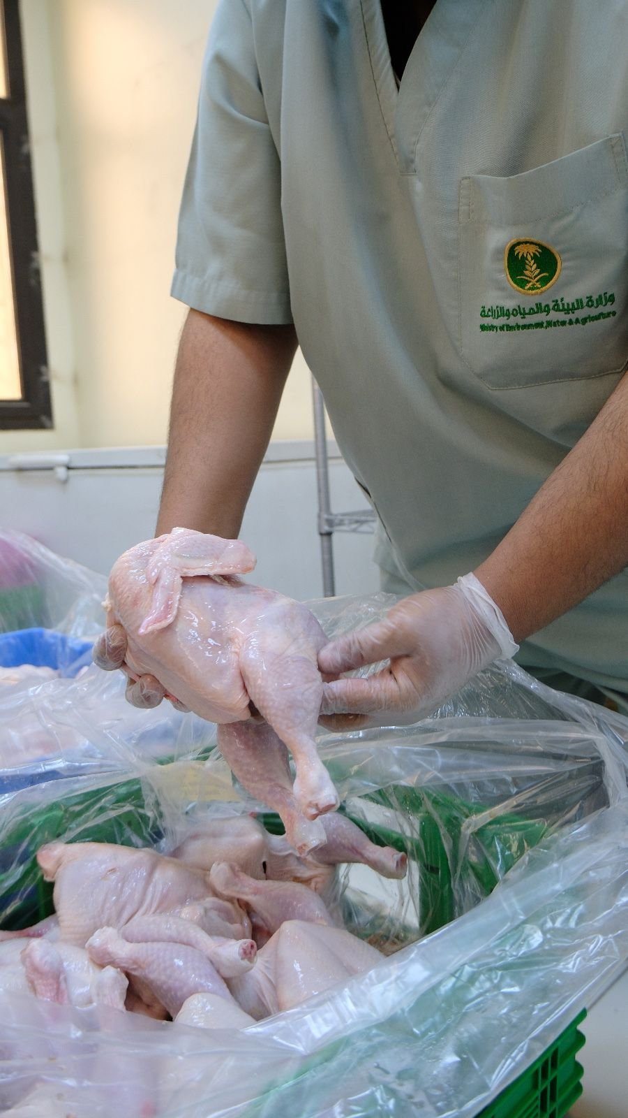 حمايةً للمستهلك.. "بيئة الرياض" تُتلف 4.2 طن دواجن مجهولة وتغلق مسالخ عشوائية