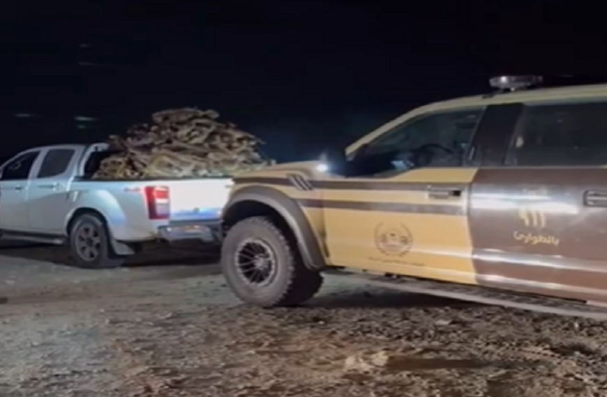 الأمن البيئي يضبط مخالفين لنقل حطب محلي داخل محمية الإمام تركي بن عبدالله