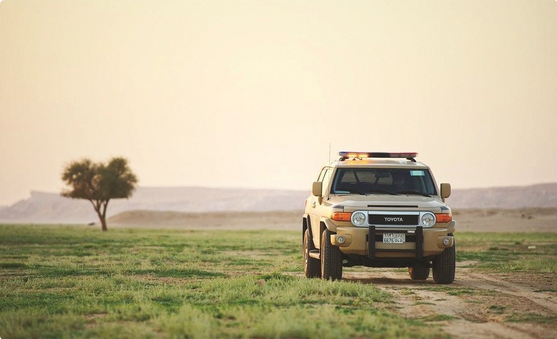 "الأمن البيئي" يضبط مواطنًا مخالفًا لنظام البيئة في منطقة المدينة المنورة