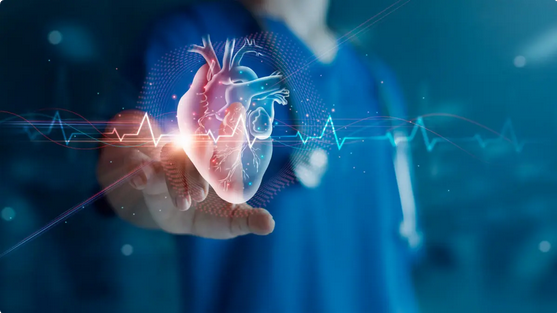 ثورة في طب القلب: دراسة أسترالية تكشف قدرة "العضلة الحيوية" على ترميم نفسها