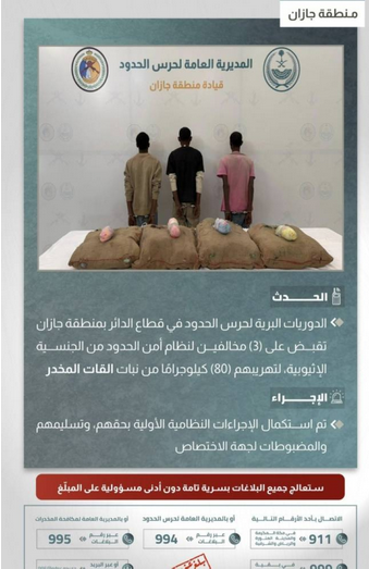 إحباط تهريب 80 كيلوجرامًا من القات والقبض على 3 مخالفين في جازان