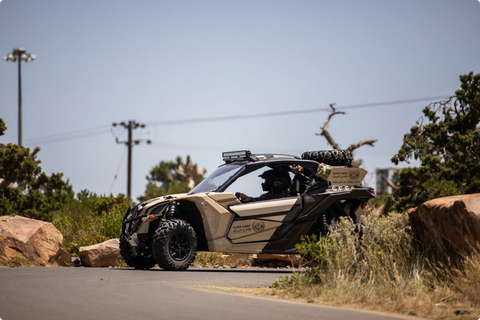 الأمن البيئي يضبط مواطنًا يرعى 7 من الإبل في مواقع محظورة داخل محمية الإمام عبدالعزيز بن محمد