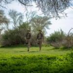 وزارة الداخلية تعزز حماية البيئة وجودة الحياة بالمملكة