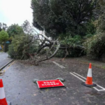 نيوزيلندا تحت حصار الإعصار.. عواصف عاتية تشل حركة الطيران وتغرق آلاف المنازل في الظلام