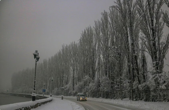 عاصفة ثلجية مميتة تجتاح جنوب الولايات المتحدة وتكسر برودة عقود