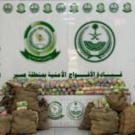 الأفواج الأمنية بعسير تُحبط تهريب (168) كيلو جرامًا من القات المخدر
