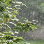 أجواء متقلبة في عيد الفطر.. أمطار غزيرة ورياح مثيرة للغبار على عدة مناطق