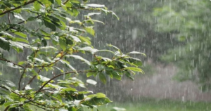 أجواء متقلبة في عيد الفطر.. أمطار غزيرة ورياح مثيرة للغبار على عدة مناطق