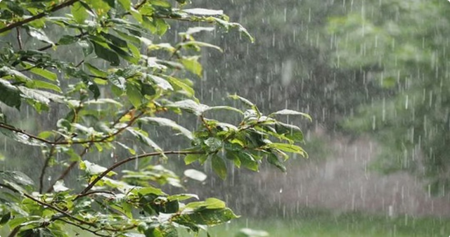 أجواء متقلبة في عيد الفطر.. أمطار غزيرة ورياح مثيرة للغبار على عدة مناطق