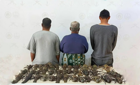 حرس الحدود بينبع يضبط مواطنين ومقيمًا فلبينيًا لصيدهم دون تصريح ومخالفة لائحة الأمن والسلامة البحرية