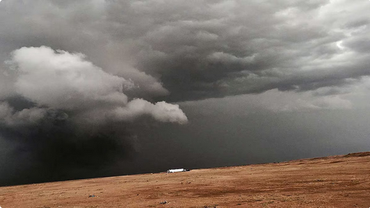 الحصيني: موسم المراويح لهذا العام جيد ودعوة للدعاء بالغيث