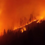 حريق غابات ضخم يمتد 110 هكتارات جنوب النمسا وجهود جوية وبرية لاحتوائه