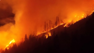 حريق غابات ضخم يمتد 110 هكتارات جنوب النمسا وجهود جوية وبرية لاحتوائه