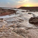 سيول الأمطار تعزز الغطاء النباتي في شعاب جنوب رفحاء