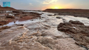 سيول الأمطار تعزز الغطاء النباتي في شعاب جنوب رفحاء