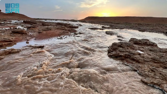 سيول الأمطار تعزز الغطاء النباتي في شعاب جنوب رفحاء