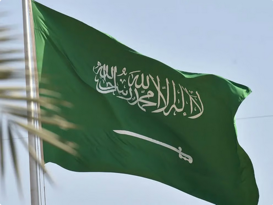 في اجتماع (ECOSOC).. المملكة تطالب بحماية «مضيق هرمز وباب المندب» وتؤكد التزامها باستقرار أسواق الطاقة