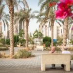 أمانة مكة تؤكد جاهزيتها لاستقبال الحجاج بتطوير الحدائق والمرافق العامة
