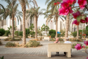 أمانة مكة تؤكد جاهزيتها لاستقبال الحجاج بتطوير الحدائق والمرافق العامة