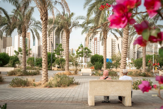 أمانة مكة تؤكد جاهزيتها لاستقبال الحجاج بتطوير الحدائق والمرافق العامة