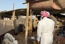 أمانة الأحساء تضبط 4 أحواش عشوائية للذبح خلال عيد الأضحى