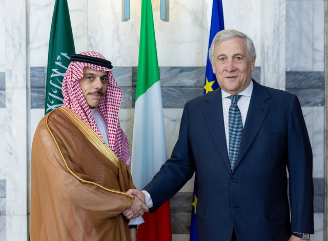 السعودية وإيطاليا تؤكدان دعم حل الدولتين ووقف إطلاق النار في غزة