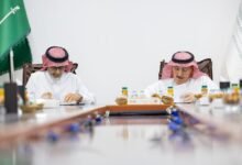 تمكين مشروع نموذجي للضأن النعيمي في القصيم بإنتاج يتجاوز 221 ألف كيلو جرام من اللحوم سنويًا