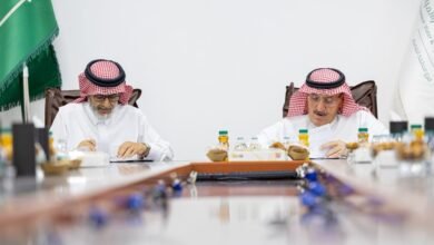 تمكين مشروع نموذجي للضأن النعيمي في القصيم بإنتاج يتجاوز 221 ألف كيلو جرام من اللحوم سنويًا