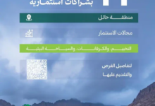 تنمية الغطاء النباتي تطرح 11 فرصة استثمارية في متنزهات حائل الوطنية