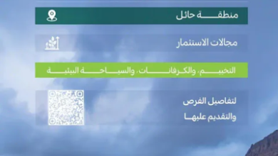 تنمية الغطاء النباتي تطرح 11 فرصة استثمارية في متنزهات حائل الوطنية